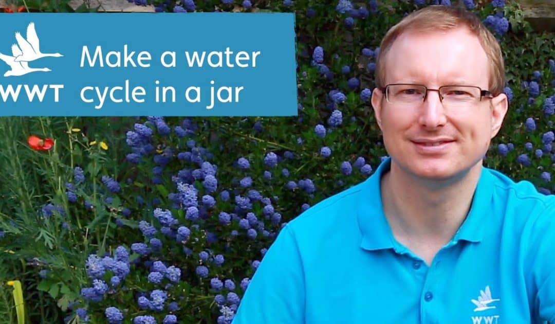 WWT’s Make Your Own Water Cycle in a Jar Activity Resources