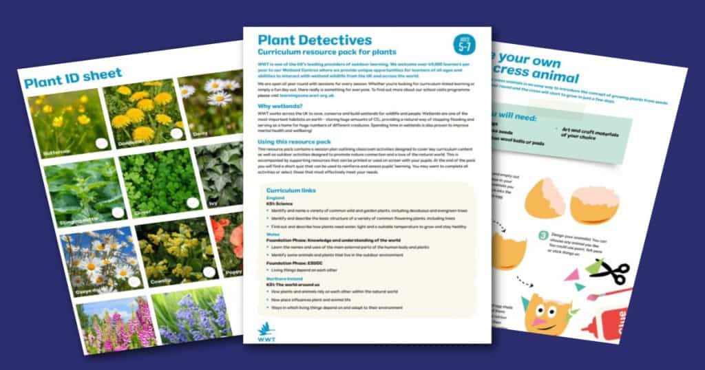 WWT Plant Detectives Social 1200 x 630