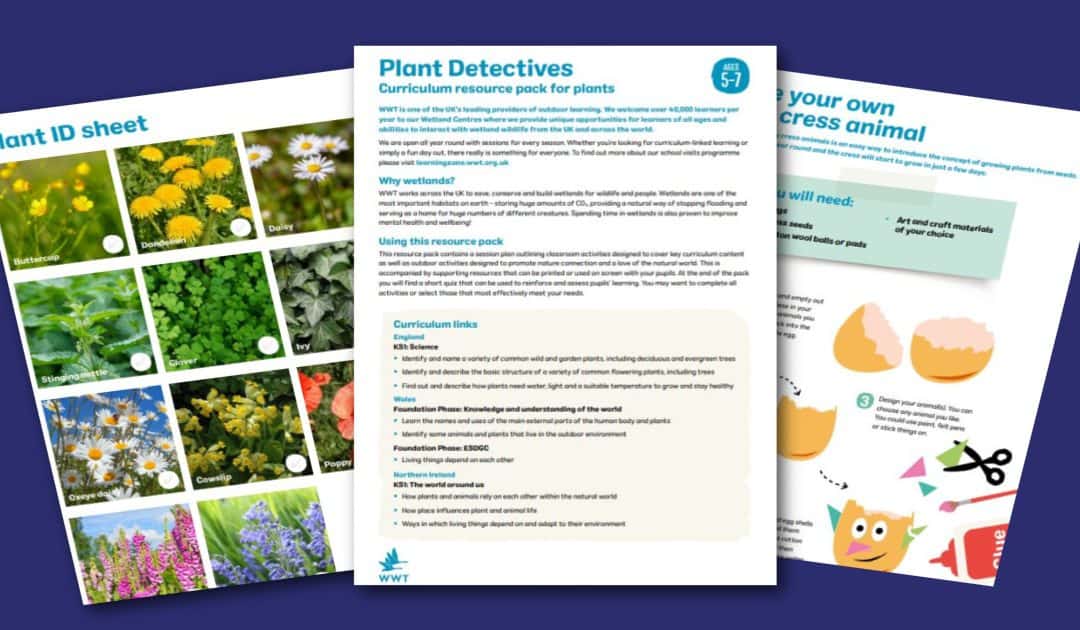 WWT’s Plant Detectives Resources