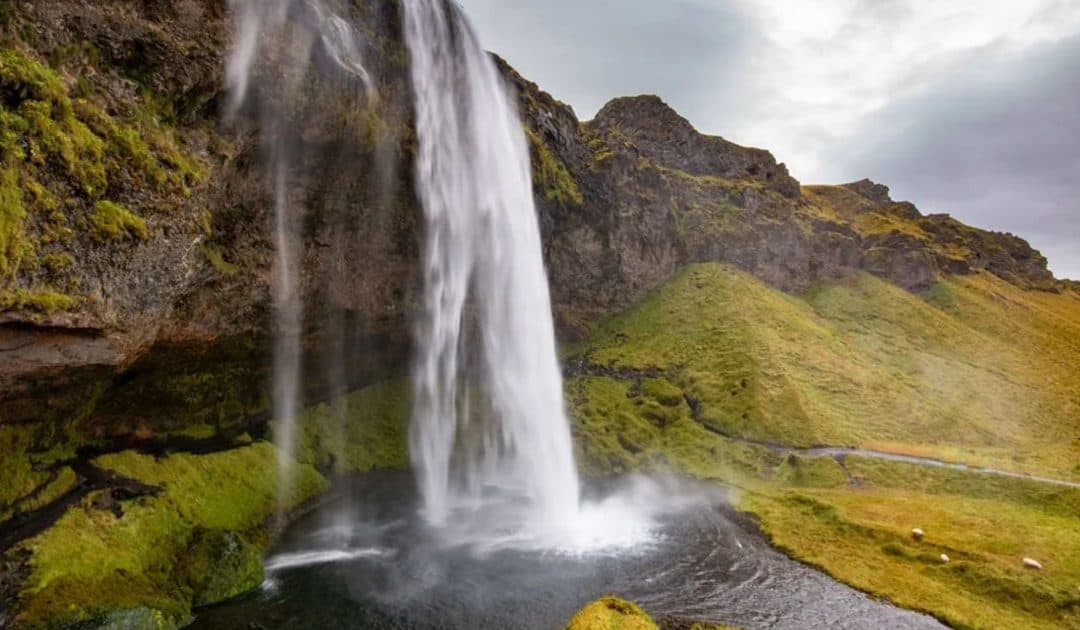 WWT’s The Water Cycle Resources