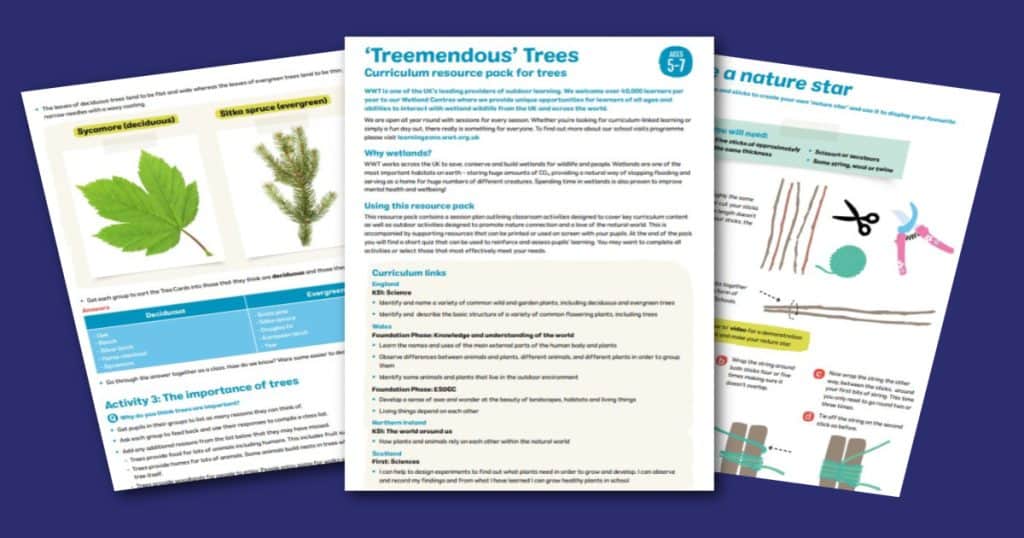 WWT Tremendous Trees Social 1200 x 630
