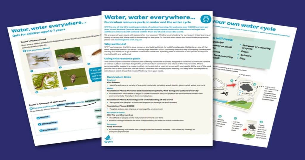 WWT Water Water Everywhere Social 1200 x 630