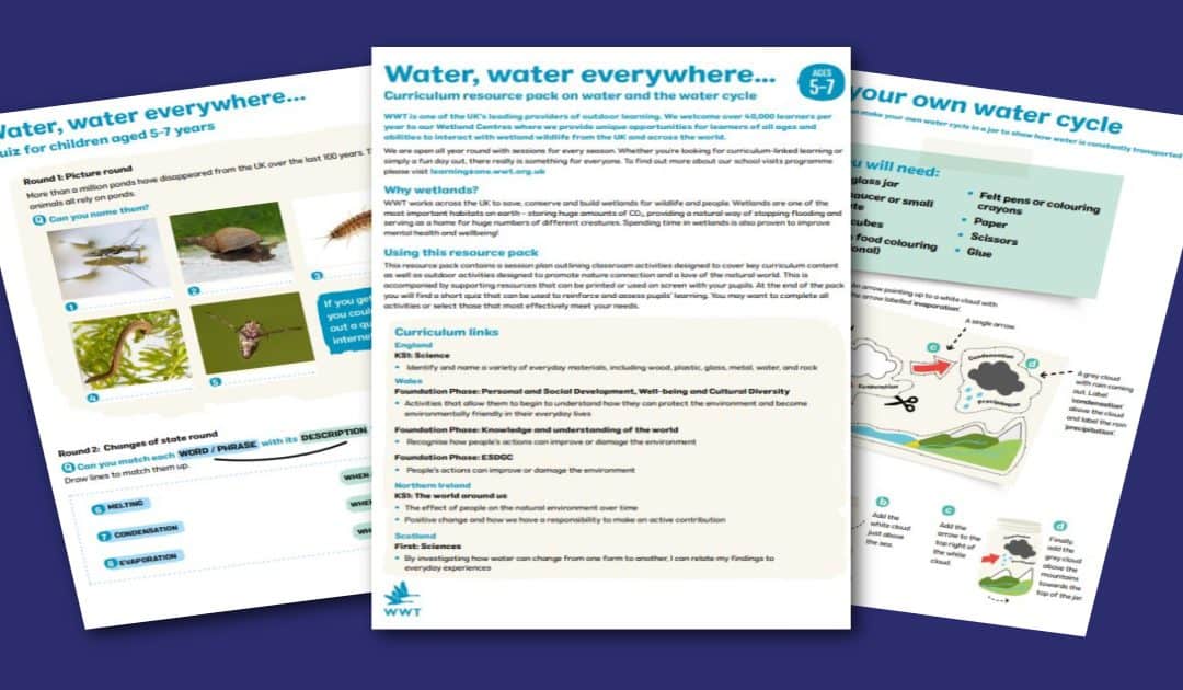 WWT’s Water, Water Everywhere… Resources