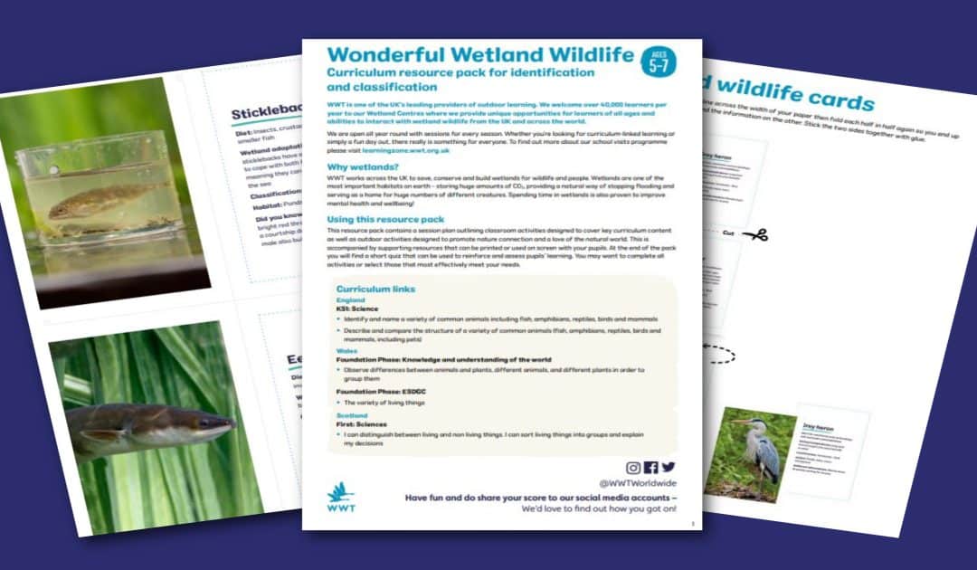 WWT’s Wonderful Wetland Wildlife Resources