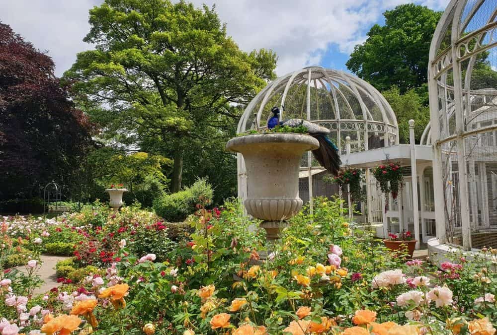Birmingham Botanical Gardens