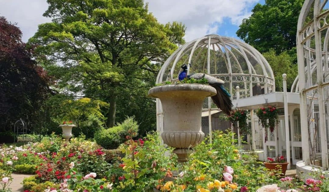 Birmingham Botanical Gardens’ Japanese Garden Teaching Resource