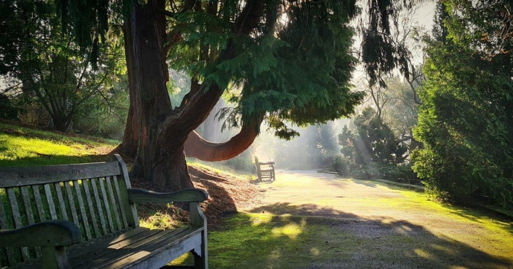 Birmingham Botanical Gardens Social 2 1200x630 1022