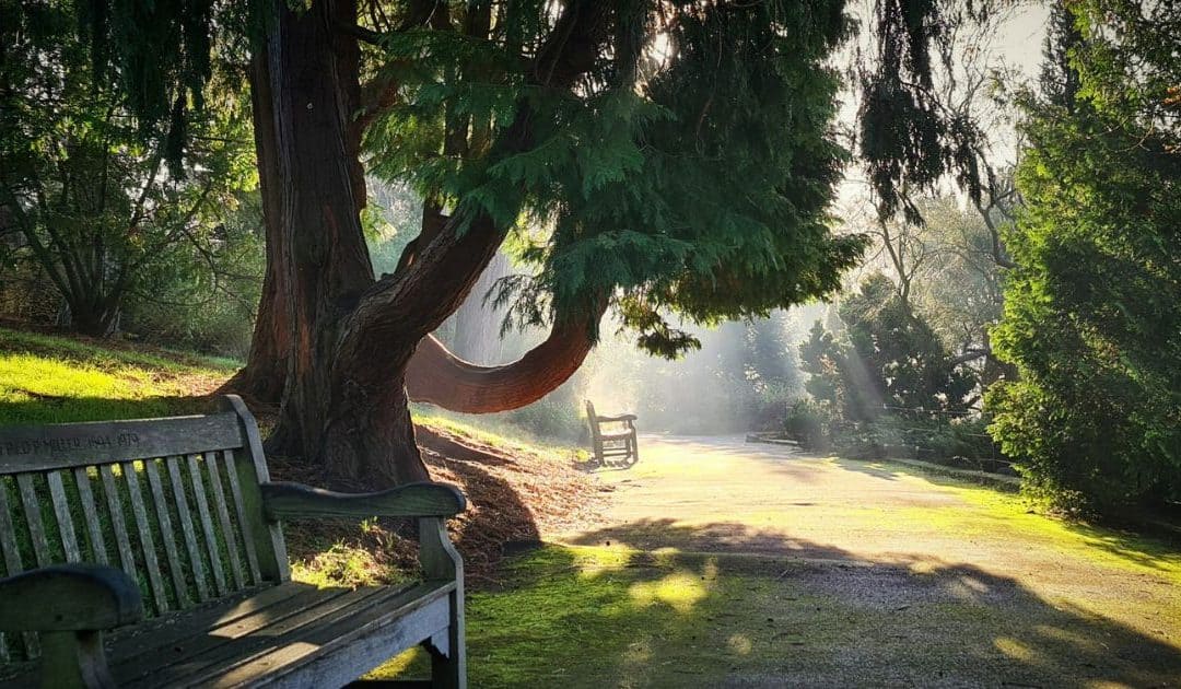 Birmingham Botanical Gardens’ KS3-KS4 Maths Trail Teaching Resource