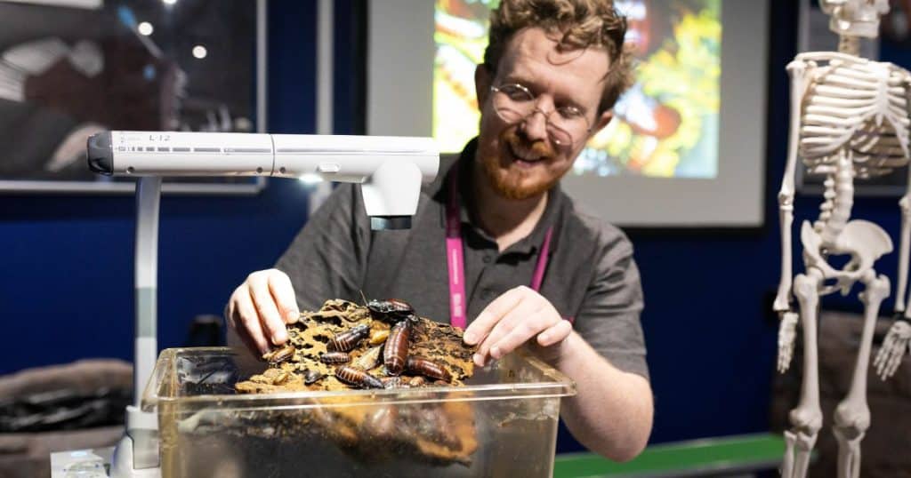 NML Brilliant Bugs © Robin Clewley 1200x630 923