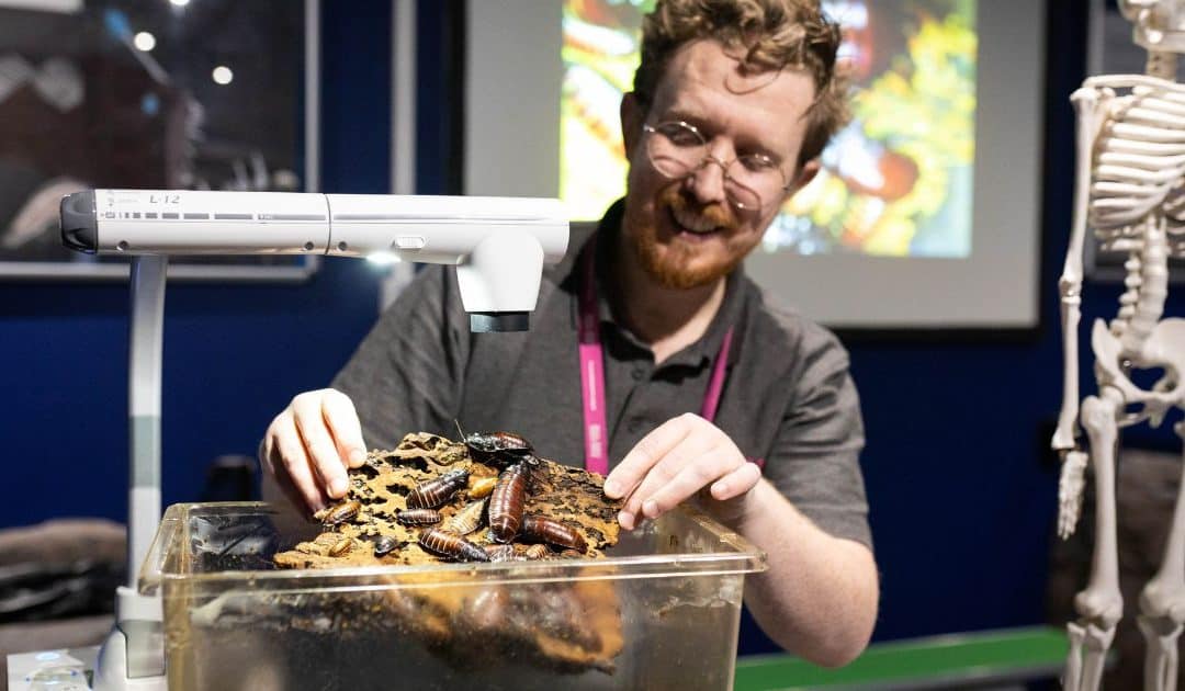 World Museum’s Amazing Animals Workshop