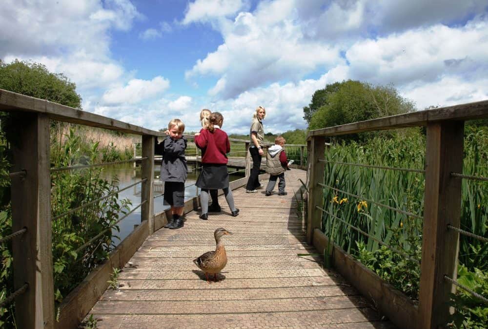 Discover more about World Wetlands Day