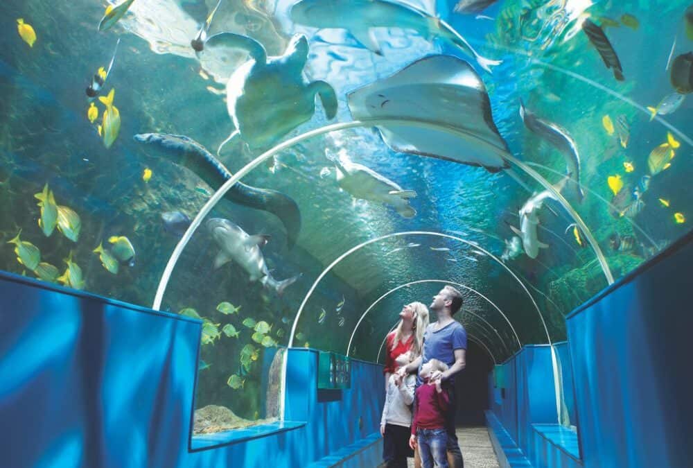 The Oceanarium