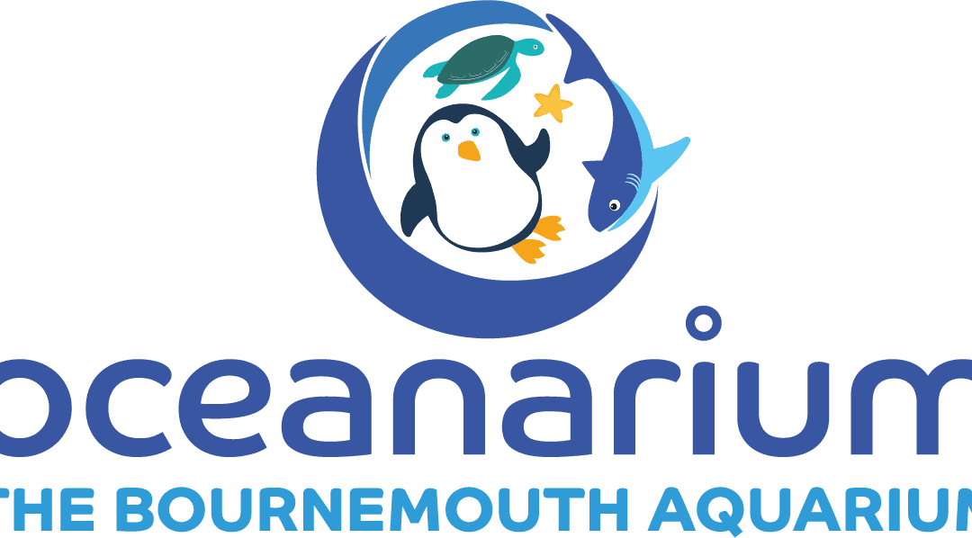 The Oceanarium KS2 Activity Pack