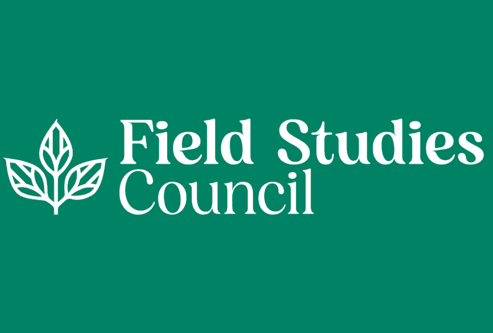 Field Studies Council KS2 Geography – The High Street Resource Pack