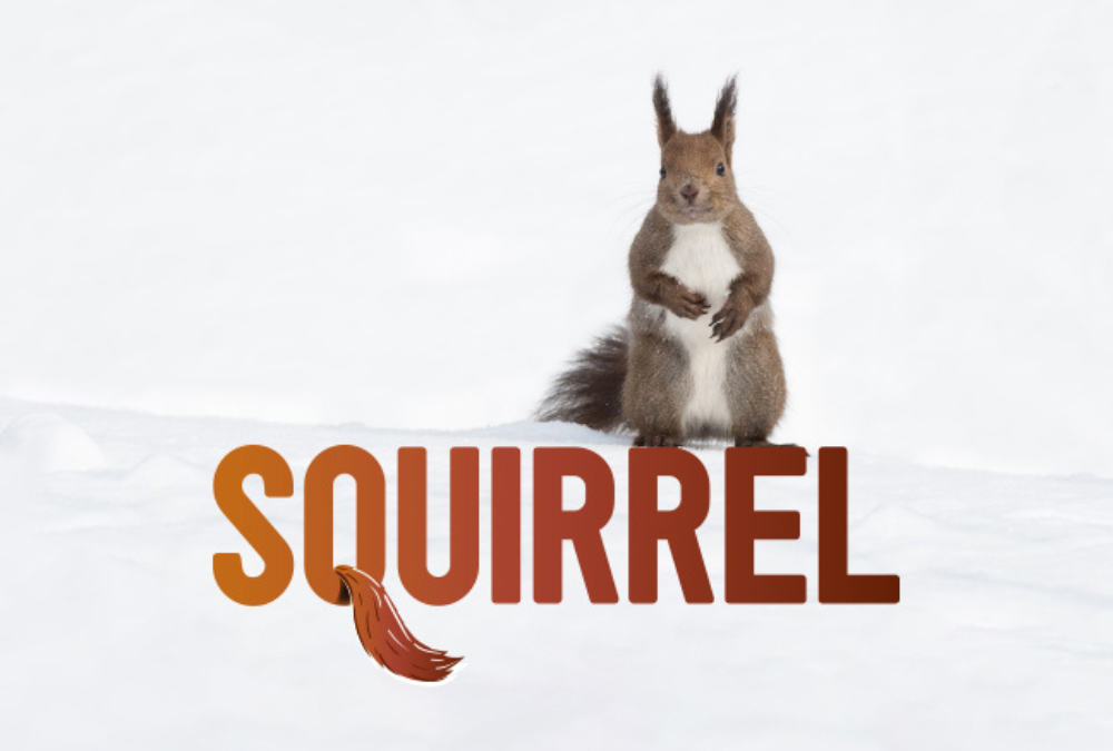 Squirrel – Unicorn Theatre