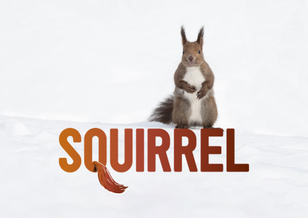 Squirrel – Unicorn Theatre School Trip Top Image Squirrel – Unicorn Theatre School Trip Top Image