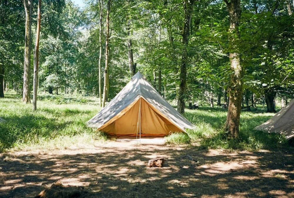Badminton Woods The Bushcraft Company