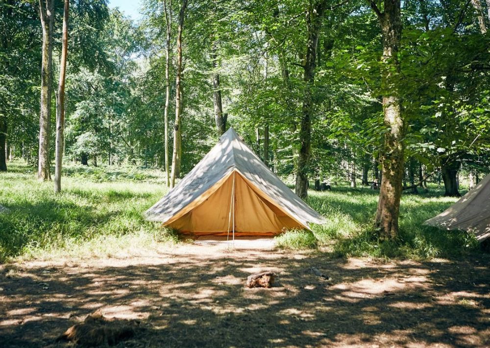 The Bushcraft Company The School Trip Image 5 Sep 25