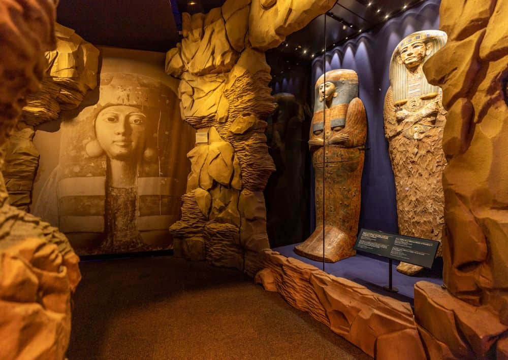 Ramses and The Pharaohs’ Gold School Trip Bottom Image