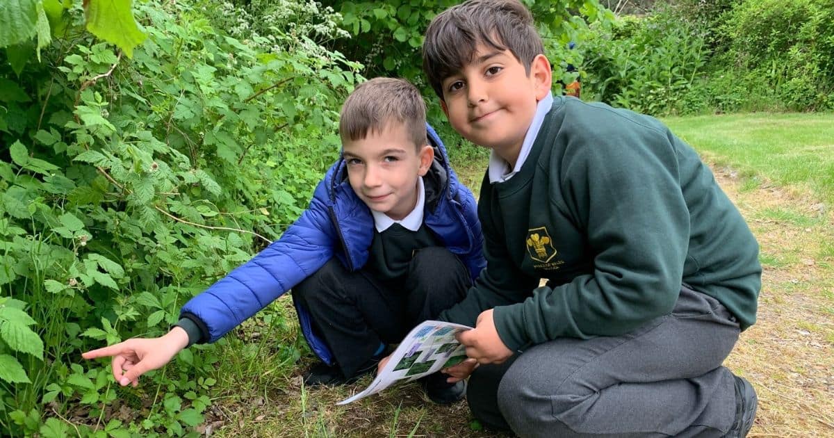 Lee Valley Regional Park – School Trip Top Image